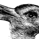 Illustration for article titled Animals Could Help Reveal Why Humans Fall For Illusions